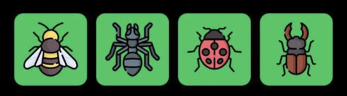 FLIES Daily Combo 8 June 2025